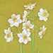 Chiaki Otsuka Gallery